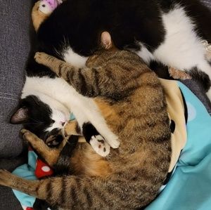 Meet your Posher, Amber